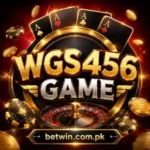 wgs456 game apk download safely